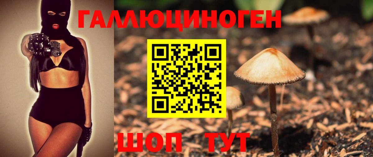 Псилоцибиновые грибы мухоморы  Вход с VPN  Выборг  Псилоцибиновые грибы GOLDEN TEACHER 